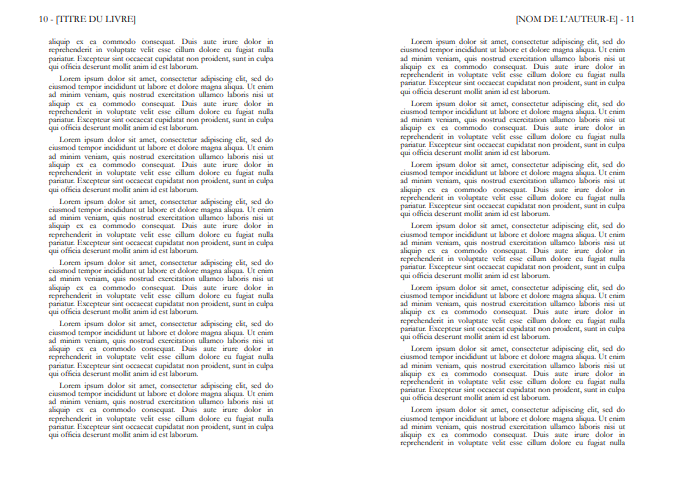 Mise en page (modèle pré-fabriqué B) — Papier