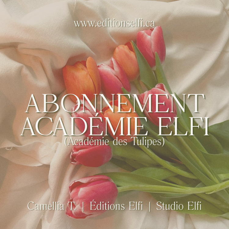 ACADÉMIE ELFI