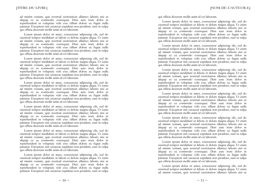 Mise en page (modèle pré-fabriqué C) — Papier