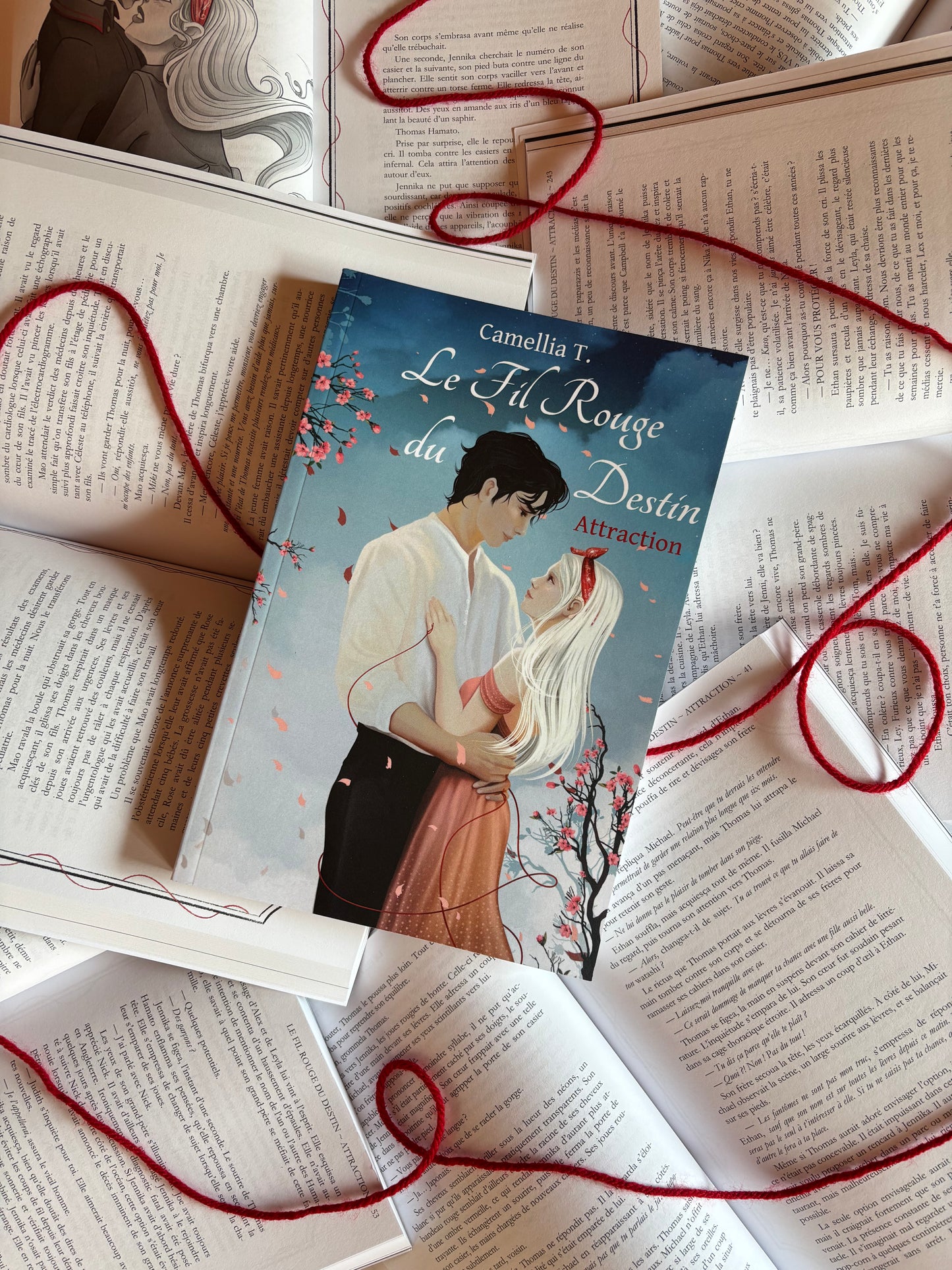 Le Fil Rouge du Destin ~ Attraction (copie signée)
